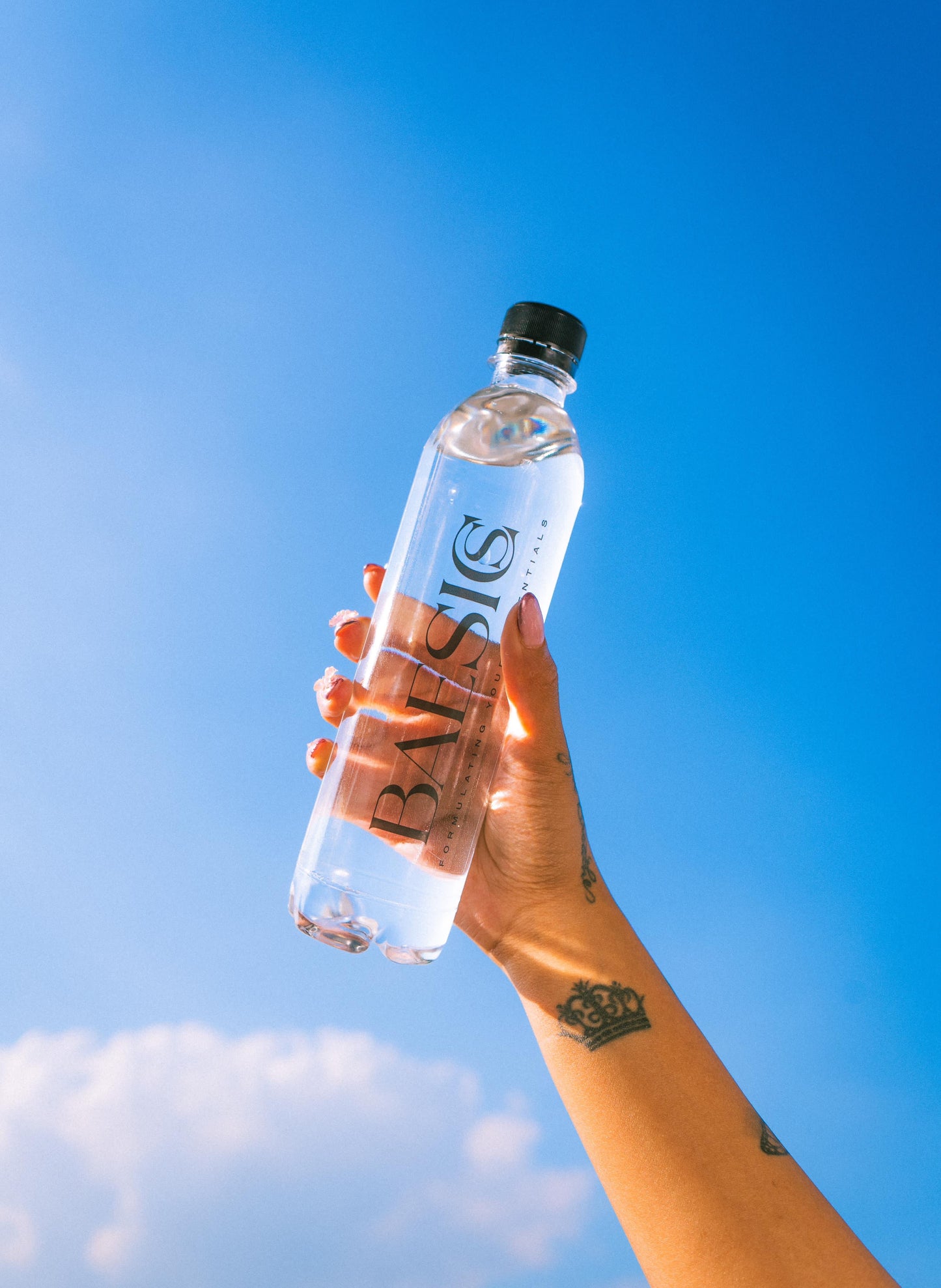 BAESICX WATER 12 PACK
